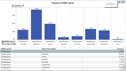 Analytic Report Assignment9.png